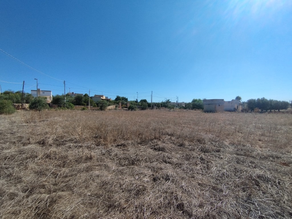 Giano Group Immobiliare